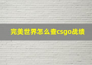 完美世界怎么查csgo战绩