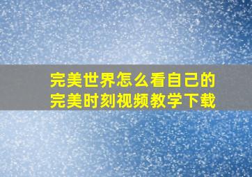 完美世界怎么看自己的完美时刻视频教学下载