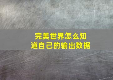 完美世界怎么知道自己的输出数据