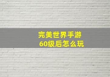 完美世界手游60级后怎么玩