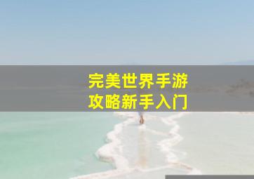 完美世界手游攻略新手入门