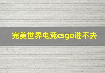 完美世界电竞csgo进不去