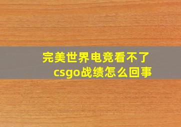 完美世界电竞看不了csgo战绩怎么回事