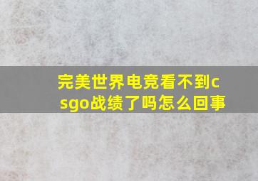 完美世界电竞看不到csgo战绩了吗怎么回事