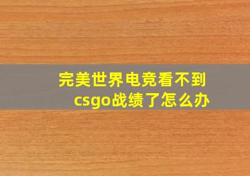 完美世界电竞看不到csgo战绩了怎么办