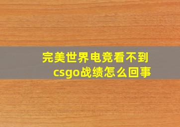 完美世界电竞看不到csgo战绩怎么回事