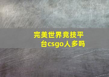 完美世界竞技平台csgo人多吗