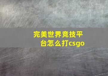 完美世界竞技平台怎么打csgo