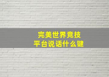 完美世界竞技平台说话什么键