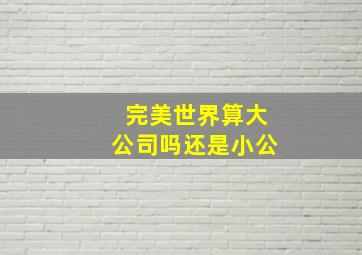 完美世界算大公司吗还是小公