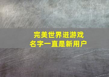 完美世界进游戏名字一直是新用户