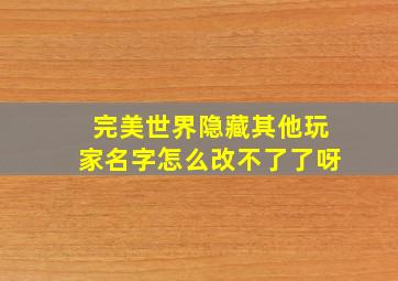 完美世界隐藏其他玩家名字怎么改不了了呀