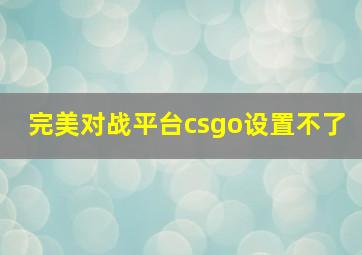 完美对战平台csgo设置不了