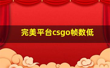 完美平台csgo帧数低