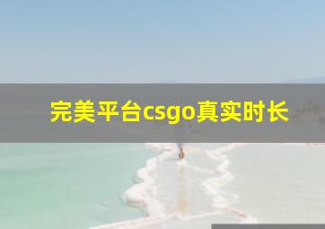 完美平台csgo真实时长