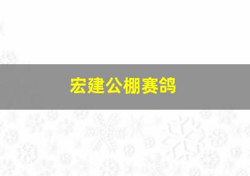 宏建公棚赛鸽