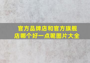 官方品牌店和官方旗舰店哪个好一点呢图片大全