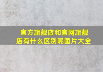 官方旗舰店和官网旗舰店有什么区别呢图片大全