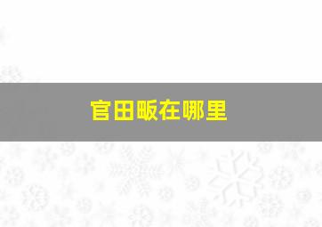 官田畈在哪里