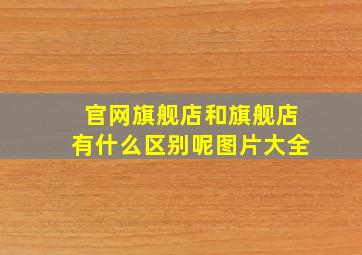 官网旗舰店和旗舰店有什么区别呢图片大全