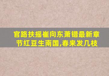 官路扶摇崔向东萧错最新章节红豆生南国,春来发几枝