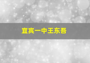 宜宾一中王东吾