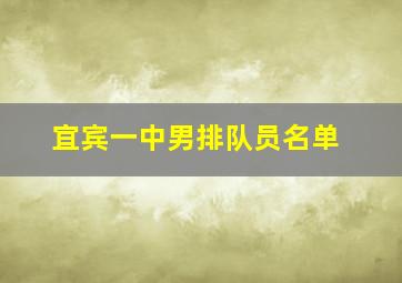 宜宾一中男排队员名单