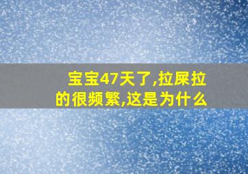 宝宝47天了,拉屎拉的很频繁,这是为什么