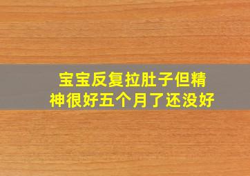 宝宝反复拉肚子但精神很好五个月了还没好