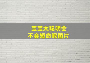 宝宝太聪明会不会短命呢图片