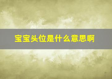 宝宝头位是什么意思啊