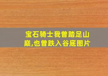 宝石骑士我曾踏足山巅,也曾跌入谷底图片