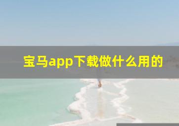 宝马app下载做什么用的