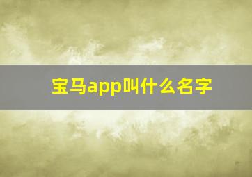 宝马app叫什么名字