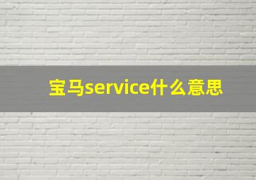 宝马service什么意思