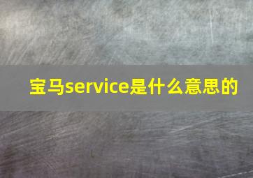 宝马service是什么意思的