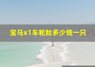 宝马x1车轮胎多少钱一只