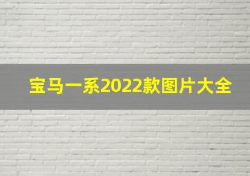 宝马一系2022款图片大全