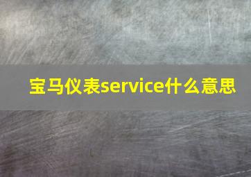 宝马仪表service什么意思