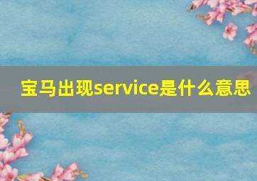 宝马出现service是什么意思