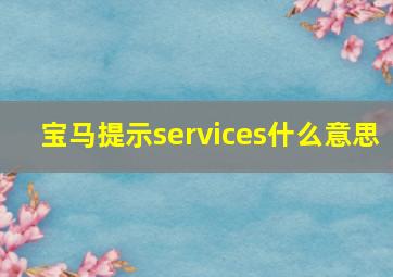 宝马提示services什么意思