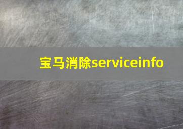 宝马消除serviceinfo