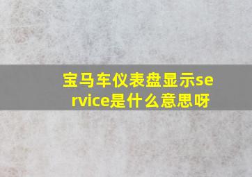 宝马车仪表盘显示service是什么意思呀