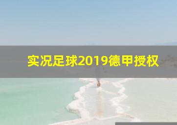 实况足球2019德甲授权