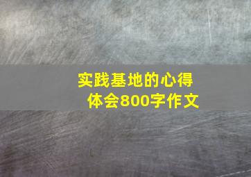 实践基地的心得体会800字作文