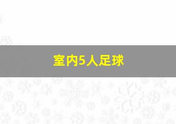 室内5人足球