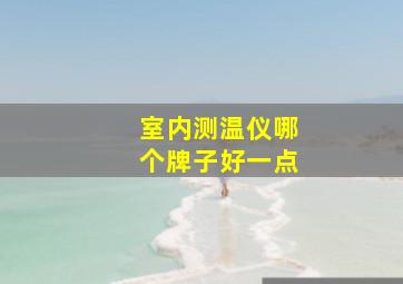 室内测温仪哪个牌子好一点