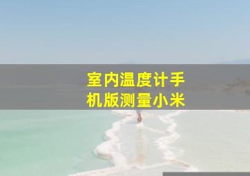 室内温度计手机版测量小米