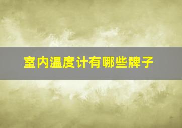 室内温度计有哪些牌子