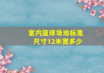 室内篮球场地标准尺寸12米宽多少